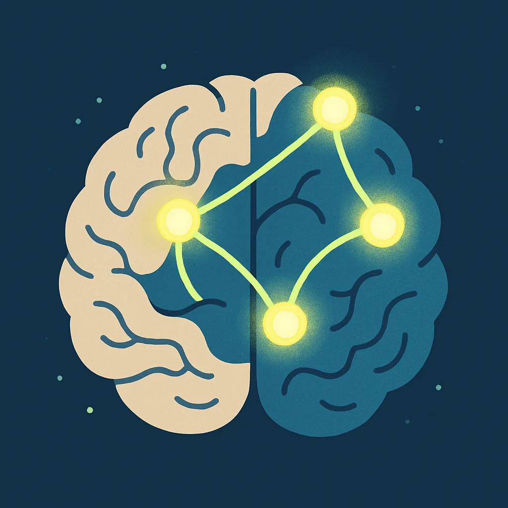 Illustration of a stylised brain showing the neuro impact of the M.E.R.E. method.